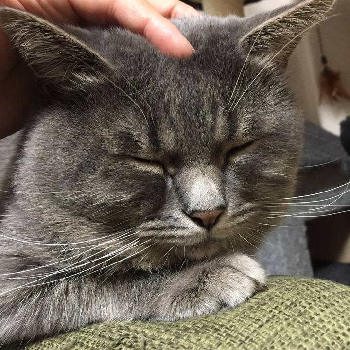 08b5f967 5d89 4105 b05a 366408803df9