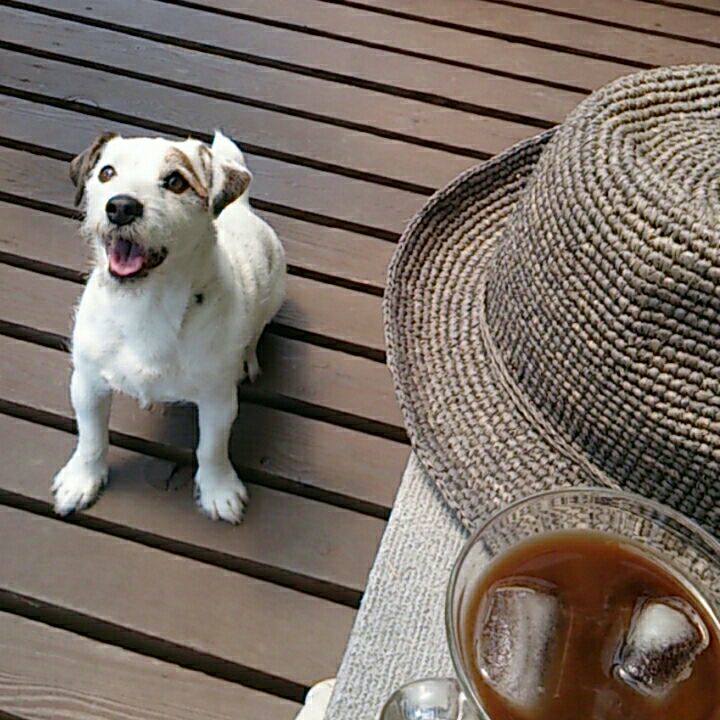 08b63877 9dd8 40c7 b6f5 0cadf608da6d