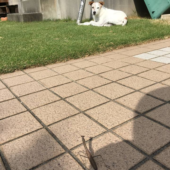 08b65a38 f34d 42f8 986f 9fb72676fe98