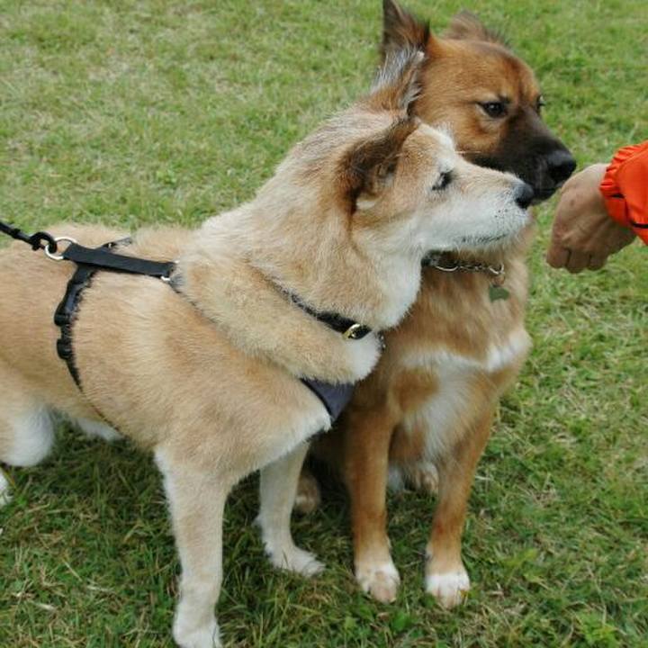 08b74d61 4a61 4148 bd8c a0d762e6aecb