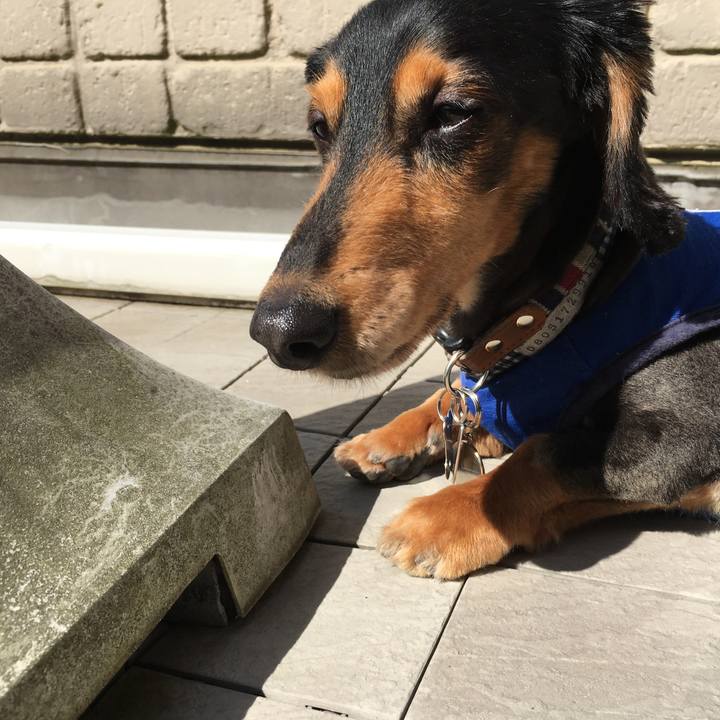 08b84415 df42 4010 88ca 134b839fc422