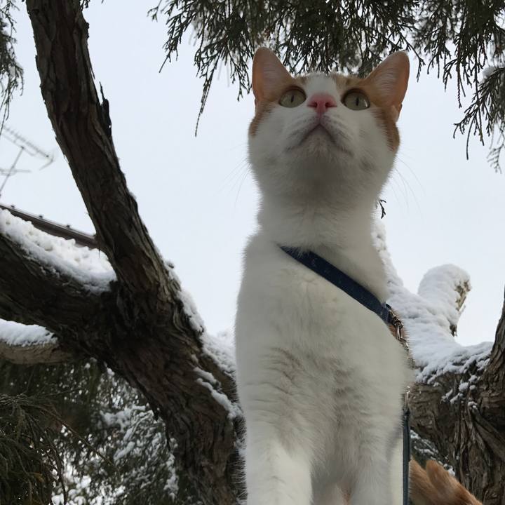 08b9ecb8 ceb6 4364 867a 216751e568ed