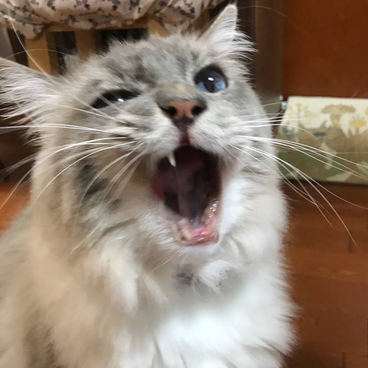 08b9f190 f652 4c58 a922 b2f42b3adba4