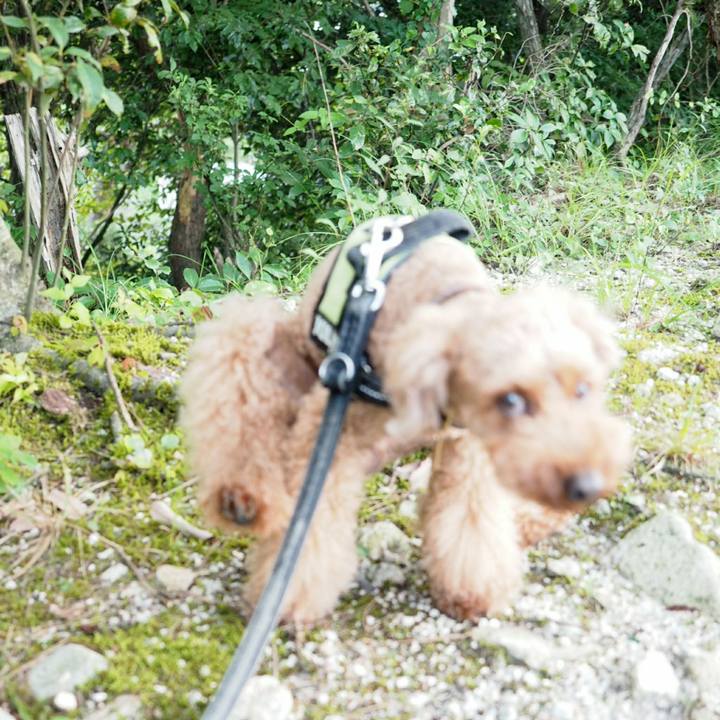 08bab7d0 7f7d 472b b264 0c1542cf7a35