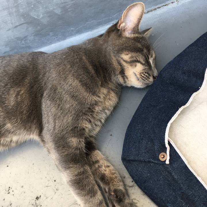 08bbbed3 ed24 4df9 8a5e 926865faa8b5