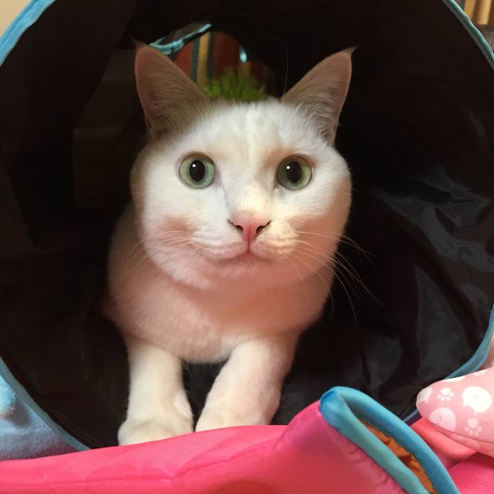 08bc102d 826d 4984 bff0 3c195d2dfc35