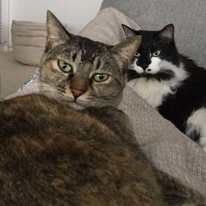 08bc6347 94f5 4d19 a1aa 1a9490148e62