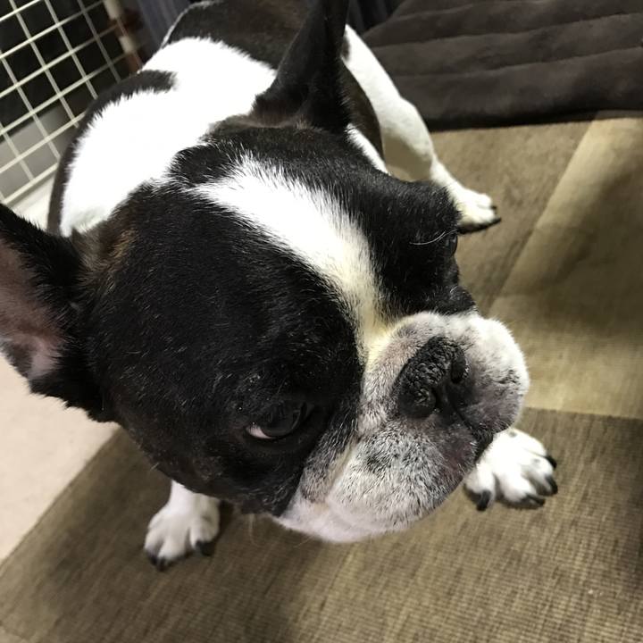 08bd03f4 53f6 4b69 8d9a e0b1b0e32a91