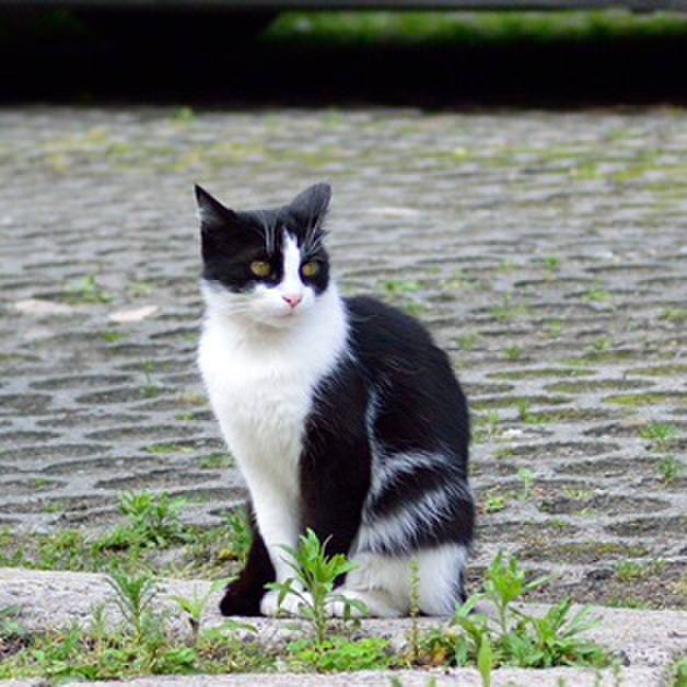 08bf0932 ffa8 4711 8ad1 2331da2edb7a