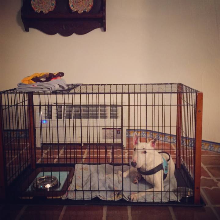 08bf0c69 bdd5 47cc 8b5f a0294e195882