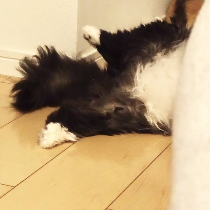 08c1571a 125d 47cb bd5d e5b622c458b0