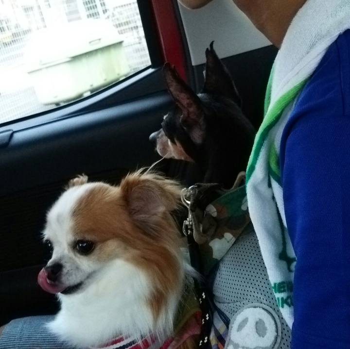 08c17634 a274 46a1 9397 786388efc959