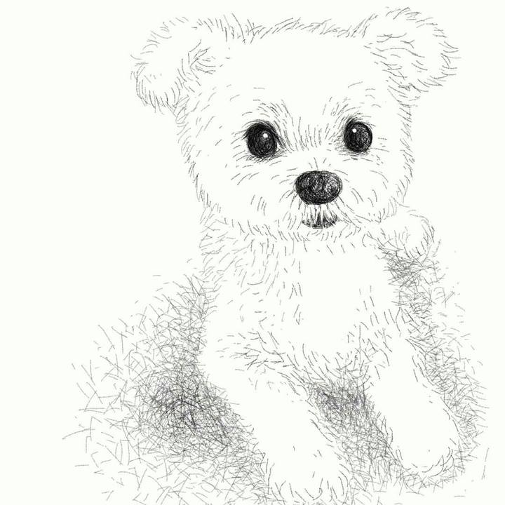 08c22431 bbb9 436d a33e f25f6342b225