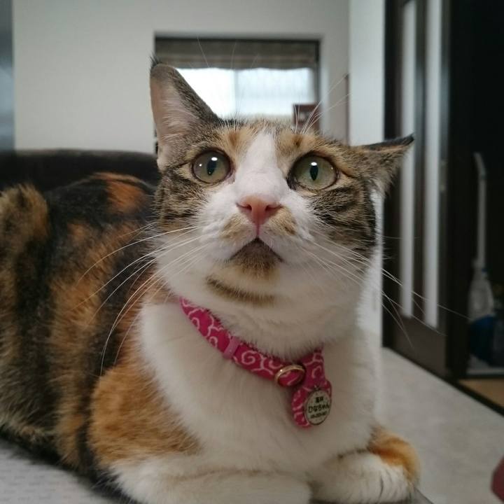 08c26a1f 5653 47ac 80c9 f697c4981d99