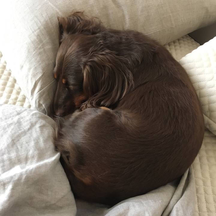 08c2815d b555 4359 9ee4 5818565a9a34