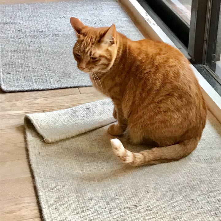 08c4e190 812a 4897 ba01 9a7630fd57e5