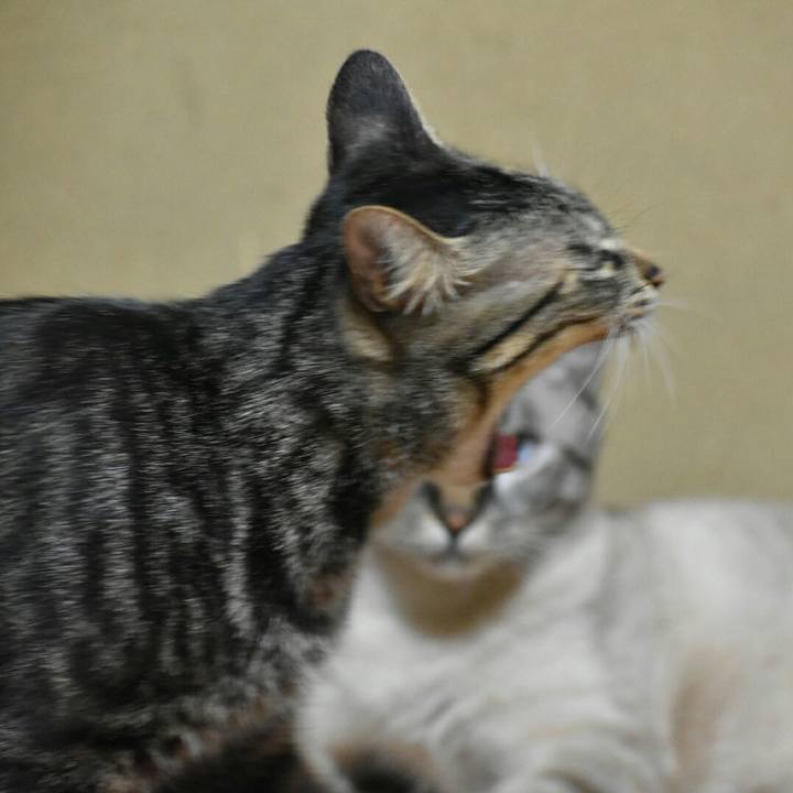 08c51650 ddae 4800 acf9 e57879711c11