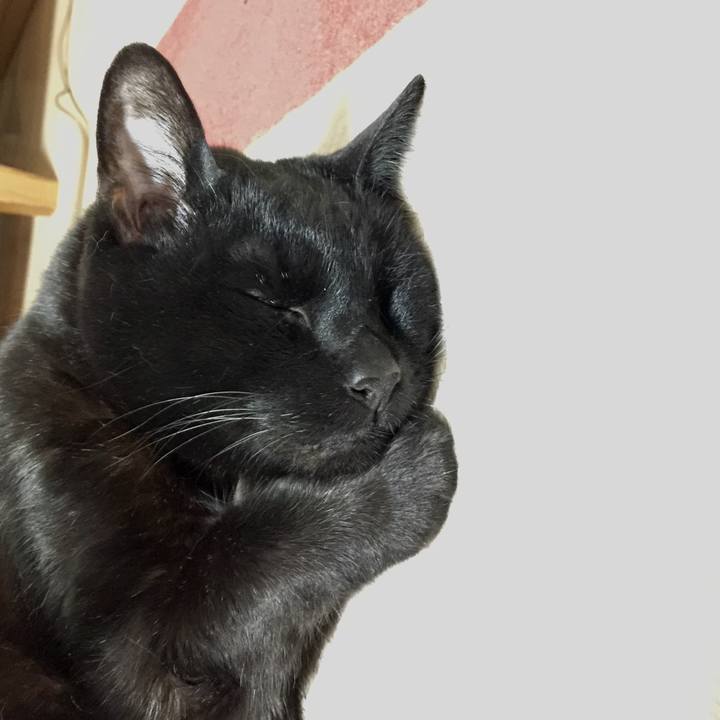 08c5403b 6a01 4bf4 8a29 0d7dfb4499b5