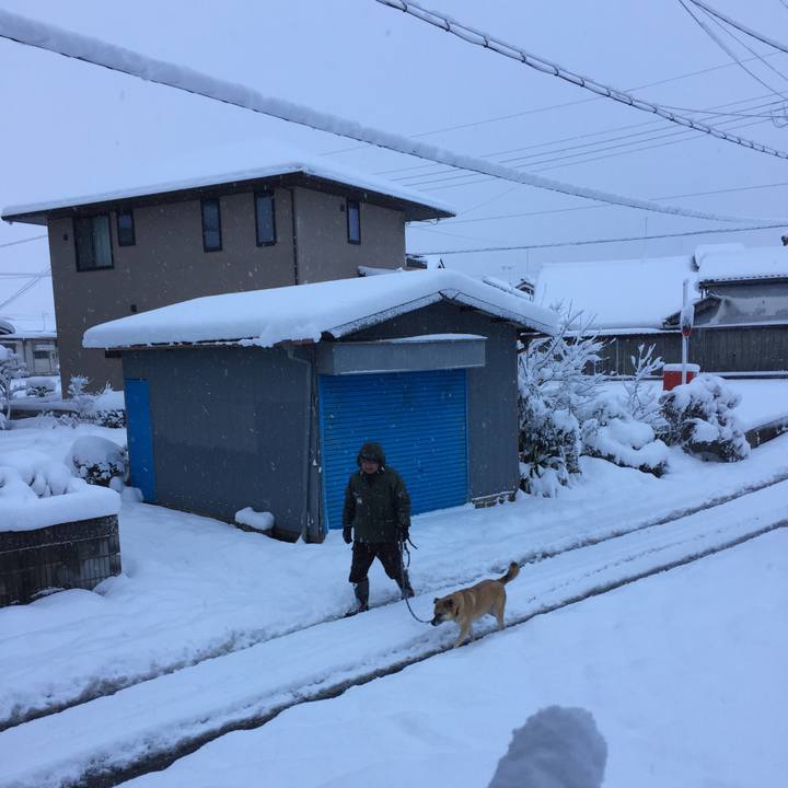 08c58321 073b 4ece 9d2a 0f35d8589450