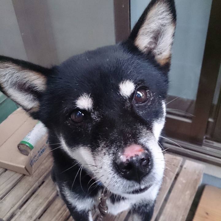 08c5f062 346e 48f7 82fa 869becb4409a