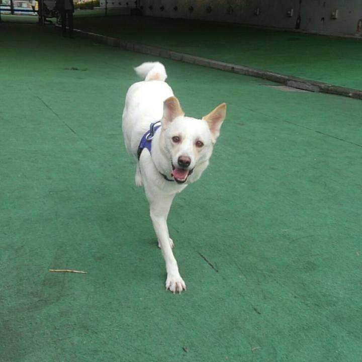 08c6b6b6 da96 4222 8d16 e0ad1106bb31