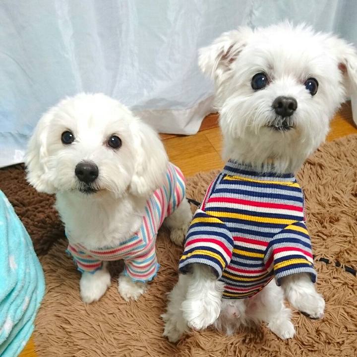 08c6cf2f 7abe 4be2 b67f 60e8c161e537