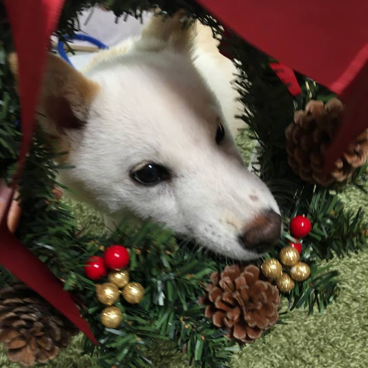 08c71674 b944 4ae4 bd1a b10c435be27a