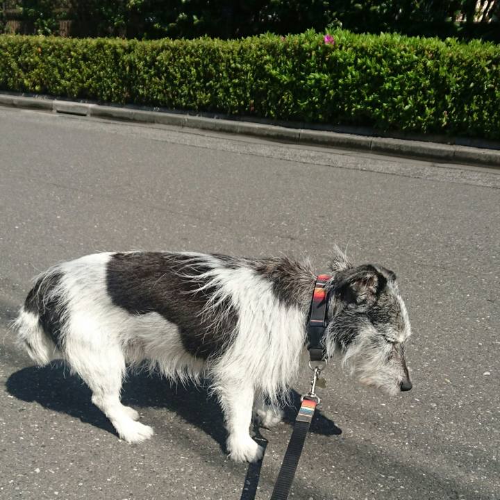 08c79f53 d026 4ef3 b8c5 d1b92fa8d67a