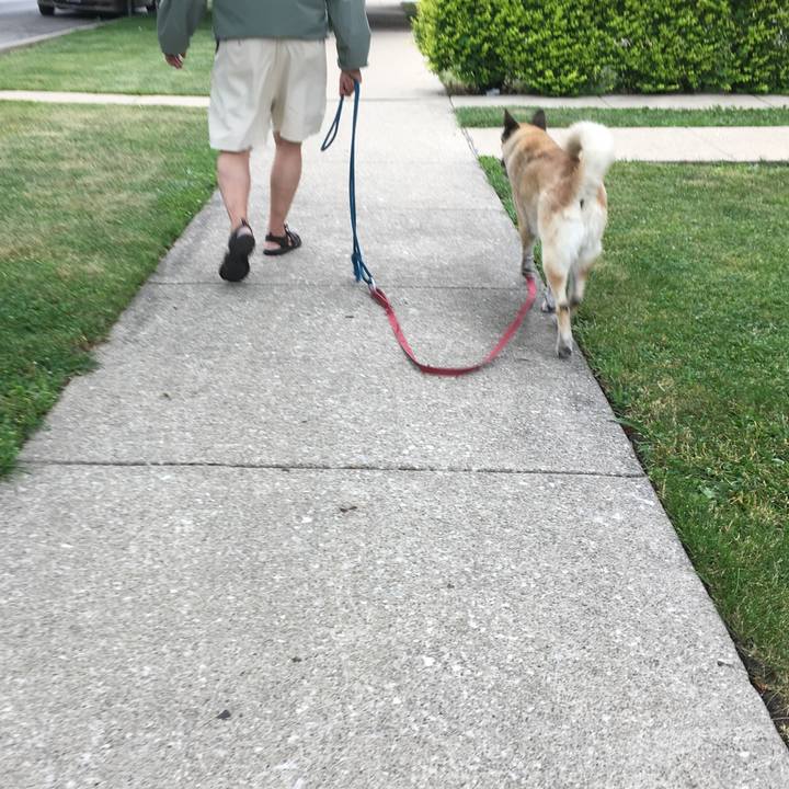 08c7eb6e 8814 470d a034 c20fd06f3351