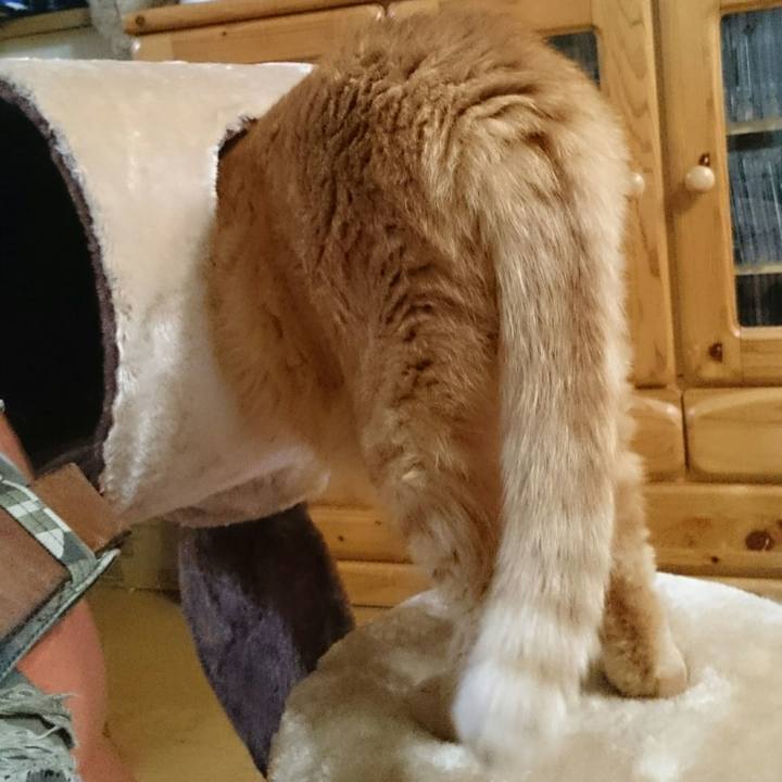 08c7ed5b 3eef 46e4 b08c c5dcbb40a416