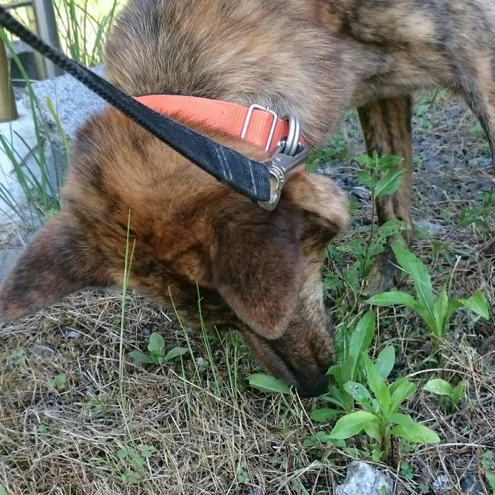 08c819fb 82ec 4bda a08d 48625485d57c