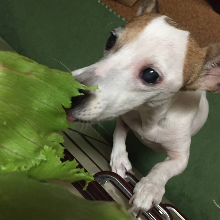 08c82949 73a7 452c bb11 dfc604bf390a