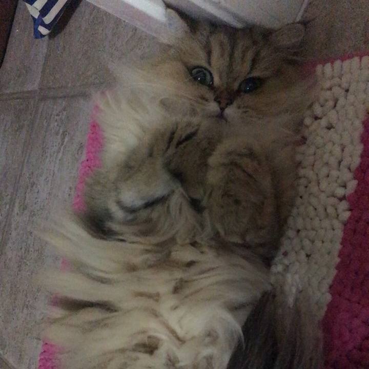 08c86fde 8713 46ac 8650 5589d7c1c56b