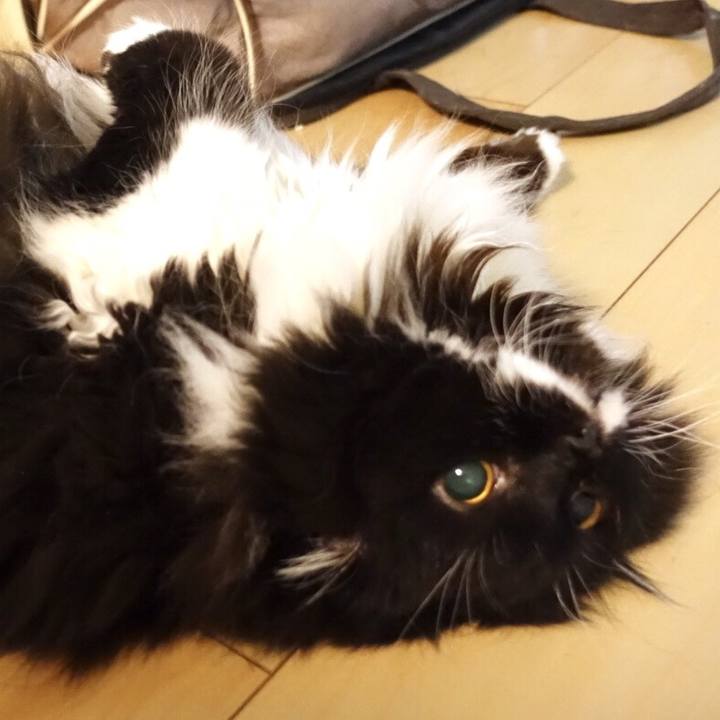 08c8a09d aaa0 45e5 8347 530397d8b855