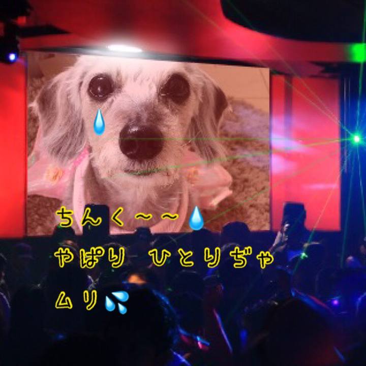 08c8dc37 0e5f 4cfd 84d6 33dc42f5daef