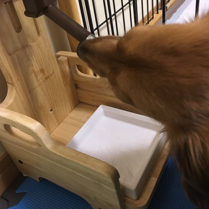 08c8ffca e111 4108 aa74 4feed819f895