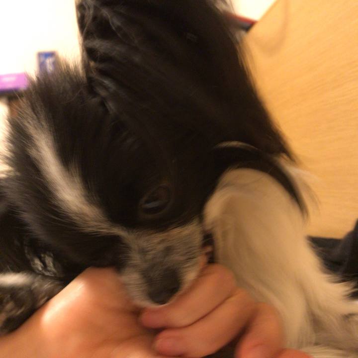 08c934ac 2806 45aa a2c5 f88c43b483f3