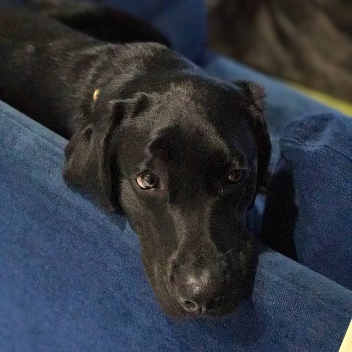 08ca08b3 a3bb 4273 bc40 003b7d8b5677