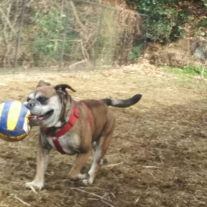 08ca1d9c a942 4840 ba86 6866f3d3086e