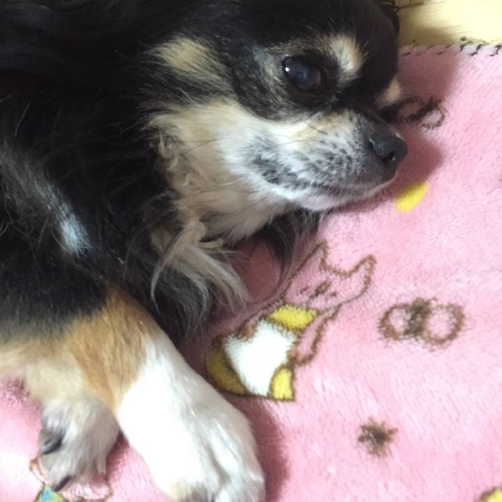 08ca315e a487 428b 9587 3f40e96ee0ef