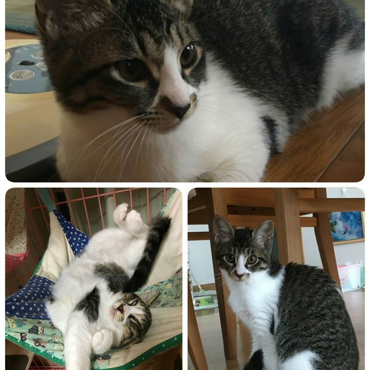 08cb761a 5cf3 4a70 af71 caf225de7a58