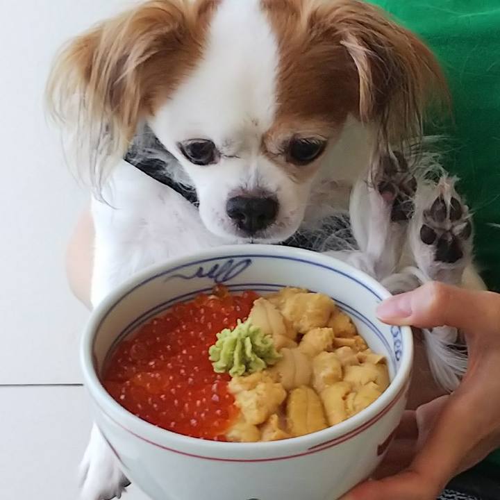 08cba671 d4ff 4633 94ca 4cf3f269a5cd