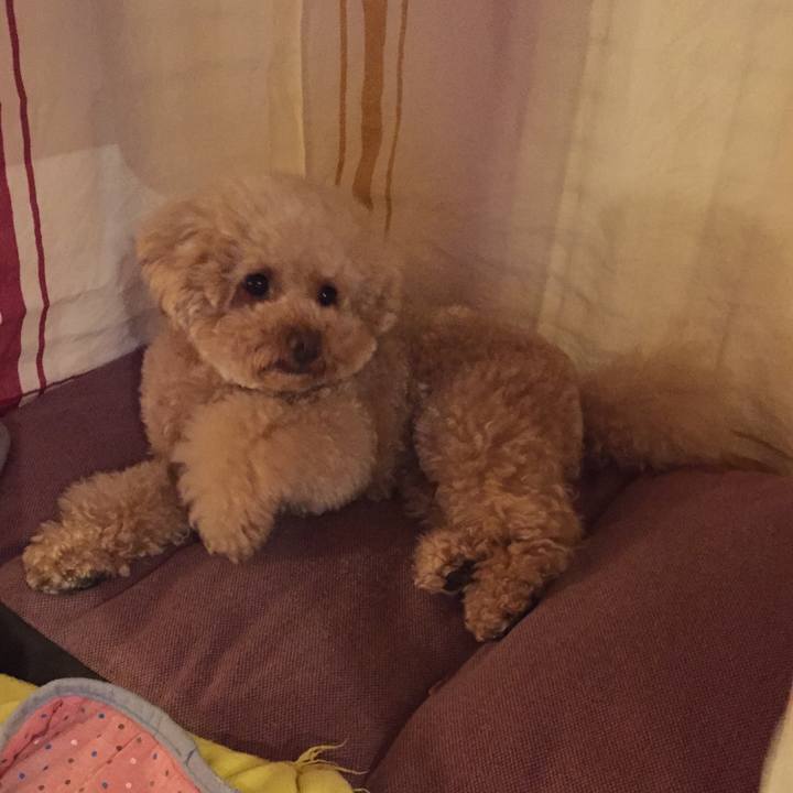 08cbb5d1 e3bc 46c8 8f48 a322de3e3294