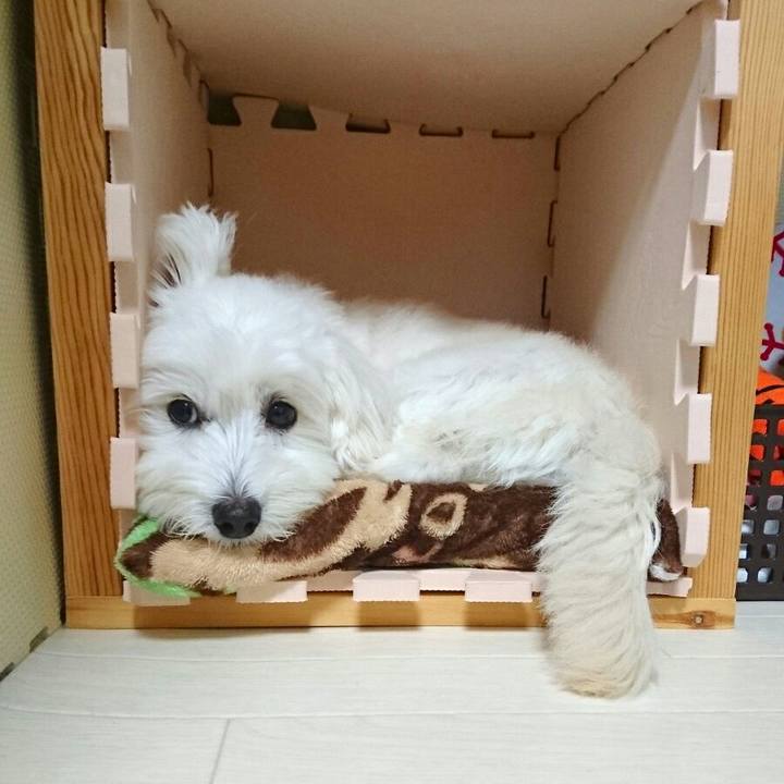 08cbe5ed e2e1 4275 84a3 11109b580119