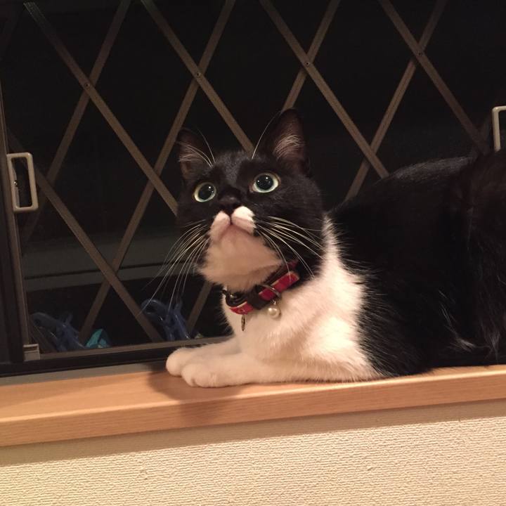 08cc31cb 62c9 4f09 9992 8906b3d1450a