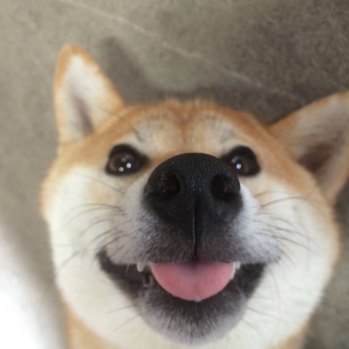 08cc68fb 3170 49b4 b2e3 8b979b459a49