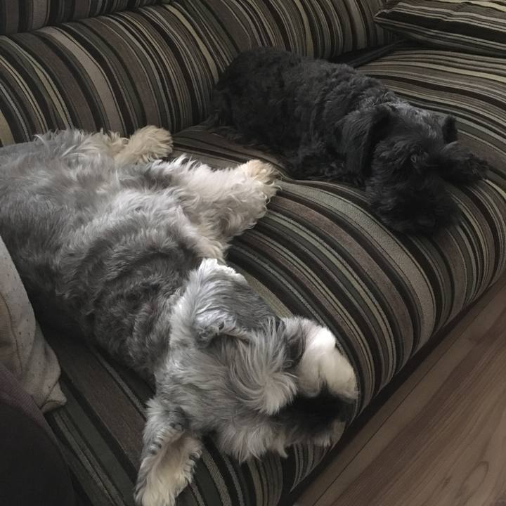 08cc697b cbd3 46c8 9c75 9194d9dd84f0