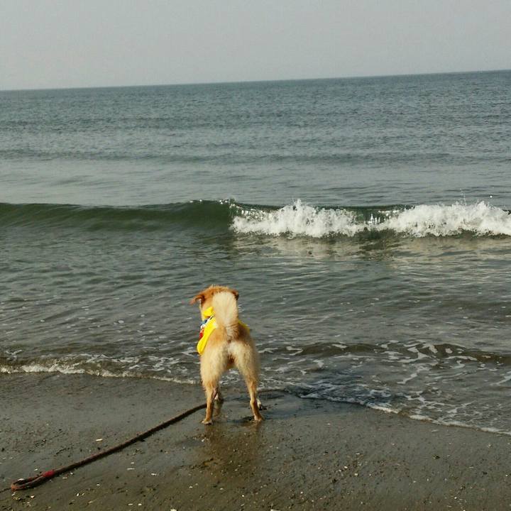 08ccaab4 c401 4236 ba39 cc8bf49aae71