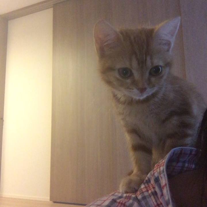 08cd3dc8 b434 4690 8347 df1805809d03