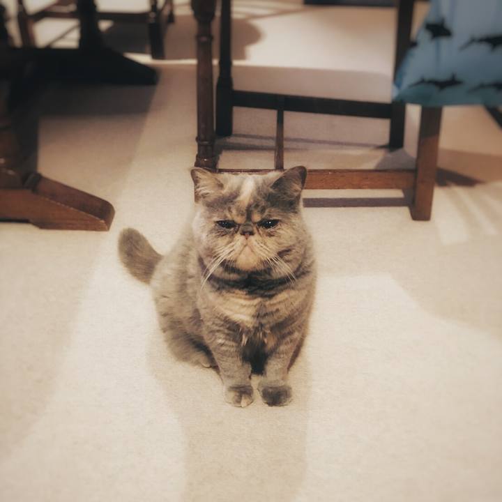 08cdf5ff d6d0 4259 bed6 dcccc7decf24